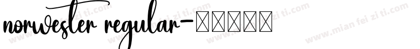norwester regular字体转换
